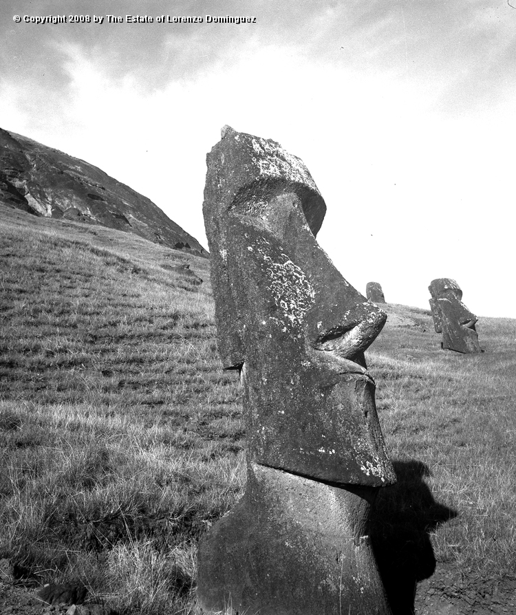 RRE_Angel_11.jpg - Easter Island.1960.  Moai on the exterior slope of Rano Raraku. Identified by Lorenzo Dominguez as "The Angel."